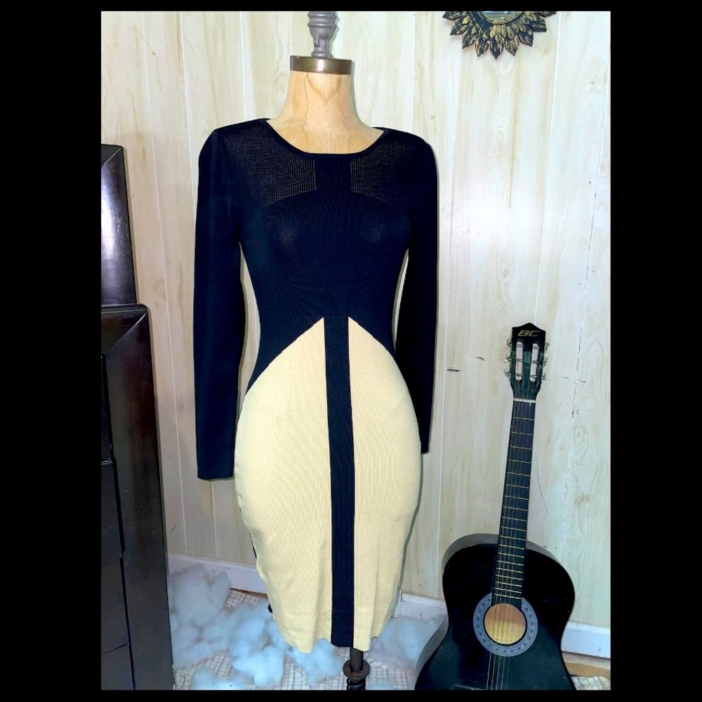 Charlotte Russe Long Sleeve Dress